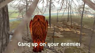 Clan of Owls Promo Video [upl. by Elleret]