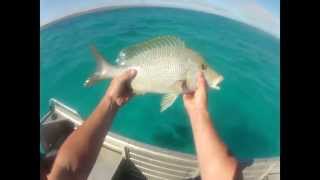 The Ningaloo game fishing camp out Highlights of 2013 [upl. by Stempien]