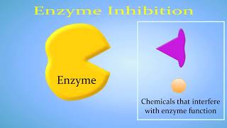 Enzyme Inhibition Competitive vs NonCompetitiveAllosteric [upl. by Hcelemile]