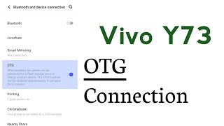 Vivo Y73 How To Use OTG Connections [upl. by Landbert]