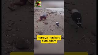 Martıya rezil oldu funny funnyanimals keşfet [upl. by Henryk]