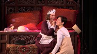 Met Opera Le Nozze Di Figaro [upl. by Kinom760]