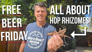 How to Plant Hop Rhizomes to Grow Hops for Homebrewing  Free Beer Friday [upl. by Yaffit]