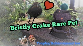 How to catch the Bristly Crake rare pet for the Bristles for All TrophyAchievement in MHW [upl. by Ahsie]