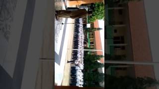 Hymne SMAN 1 Ciparay [upl. by Alidus841]