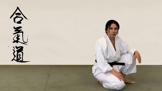 Aikido  Rückwärtsrollen für Zuhause [upl. by Aeslehs]