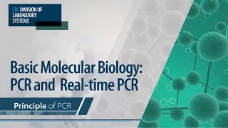 Basic Molecular Biology PCR and RealTime PCR – Principle of PCR [upl. by Burrow971]