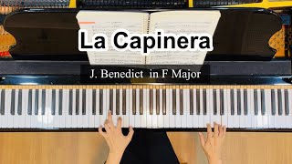 La Capinerain F MajorJ Benedict piano accompaniment [upl. by Celinka]