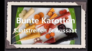 Bunte Karotten  Saatstreifen amp Aussaat [upl. by Candace407]