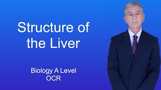 A Level Biology Revision Year 13 quotStructure of the Liverquot [upl. by Spratt370]