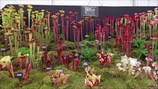 Gardeners World Live 2024 Walk Round Tour [upl. by Au]