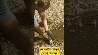 আজব প্রানী উদ্ধার করলো facts animals [upl. by Ellecram]