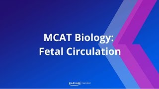 MCAT Biology Fetal Circulation [upl. by Virgie]