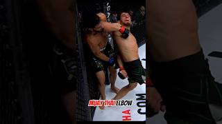 Muay Thai elbow blow 🥊 muaythai mma punch [upl. by Lenny]