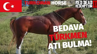 RDR2 Red Dead Redemption2 TÜRKMEN ATINI BULDUK BEDAVA ALDIK ÇALDIKTA DENİLEBİLİRTURKOMANHORSE [upl. by Clint]