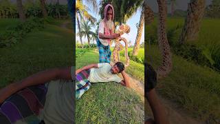 Most Fake King Cobra Sanke Prank On Murubbi snake funnyshorts [upl. by Gladdie]