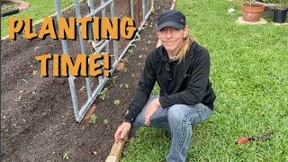 April Veggie Planting with Rich Garden Creative [upl. by Alanah]