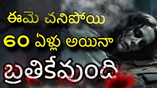 interesting facts in telugu  amazing Facts telugu  S V Facts In Telugu  Ep01 [upl. by Niwrad]