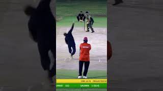 sharjah cricket hardballcricket batting patan khalilhawawal cricketground viratkohli ball [upl. by Razatlab]