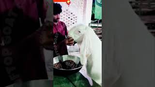 Pashu ko mota tagda gol matol rooftop farming GOAT pets shorts [upl. by Boony]