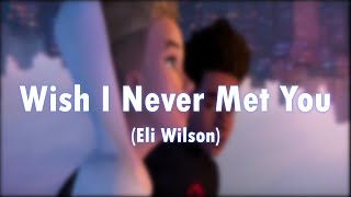 Eli Wilson Wish I Never Met You Lyrics [upl. by Cantone]