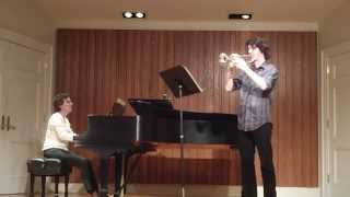 Haydn Trumpet Concerto 1st Movement [upl. by Eibrab63]