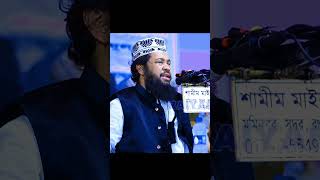 Allama Tarek Monowar new waz 2024 আল্লামা তারেক মনোয়ার ওয়াজ [upl. by Ennairej116]