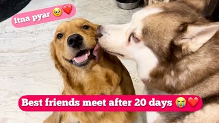 Finally Ghost meets Max after 20 days 😭  Emotional ho gya 🥹❤️ [upl. by Vasili]