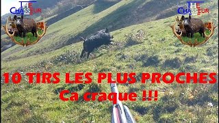 10 TIRS LES PLUS PROCHES Sangliers et Chevreuils  En 8 ans de chasse [upl. by Waylon]