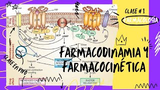 1 FARMACODINAMIA Y FARMACOCINÉTICA [upl. by Mateya]