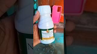 How to use neem oil in🌱 plantsytshorts youtubeshorts [upl. by Maillil470]