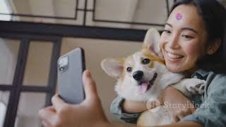 invideo ai 480 Adorable Pets Guaranteed to Make You Smi 2024 10 05 [upl. by Tu]