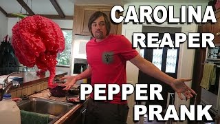 Carolina Reaper Pepper Prank  Wife Vs Husband [upl. by Yesnel520]