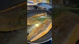 Trout Almondine Catch amp Cook [upl. by Anaerb]