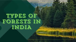 Types of forests in India  The Friendzz  information [upl. by Rosemaria192]