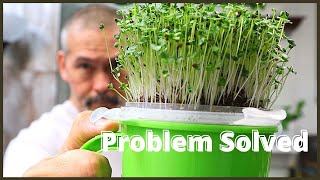 This Changes Everything  DIY Hydroponics  How to Grow Microgreens [upl. by Llenram]