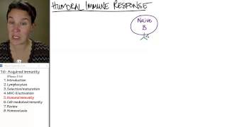 Acquired Immunity 5 Humoral [upl. by Ecnaralc524]