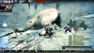 Vindictus Lann  Lv 27 Epic Polar Bear  Boss Fight [upl. by Millham724]