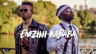 Blaq Diamond  Emzini Kababa Official Audio [upl. by Ilyse]