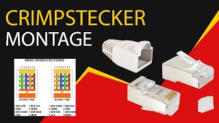 RJ45 Stecker CAT 6 mit Belegung crimpen Netzwerkkabel Belegung selber machen VESVITO [upl. by Tandy]