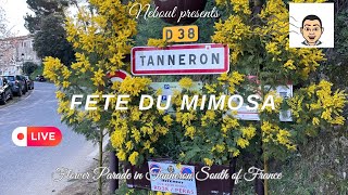 Fete du Mimosa Live in Tanneron Village in the South of France [upl. by Myrilla]