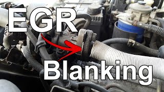 EGR Blanking How To  Blank Plate Installation  Tech Tip 07 [upl. by Toolis477]