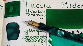 Taccia  Midori  Ink Profile  Singles Club [upl. by Wiltsey927]