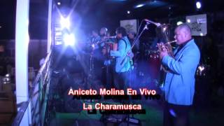 Aniceto Molina La Charamusca y La Cumbia Sampuesana En Vivo [upl. by Nerot]