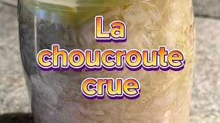 La choucroute crue d’après Révolution Fermentation [upl. by Abott]