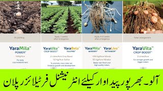 Boost Potato Yields with This Fertilizer Plan  Cyber Agri Extension  آلو۔ بھرپور فرٹیلائزر پلان [upl. by Hollington17]