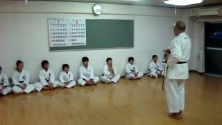 Niseishi Kata  Motobuha Shito Ryu  Kuniba Kai International [upl. by Akcirret595]