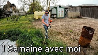 1 SEMAINE DE PETITS TRAVAUX tonte azote bois décompacteur etc [upl. by Anicart]