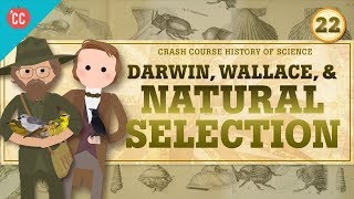 Darwin and Natural Selection Crash Course History of Science 22 [upl. by Ayenat457]