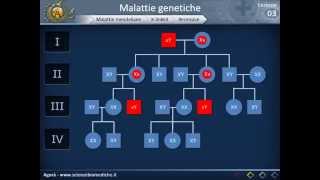 Genetica 03  Malattie genetiche e genetica di popolazione [upl. by Elawalo]